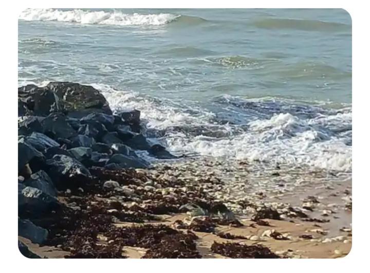 Les Pieds Dans L'Eau Acces Direct A La Plage La Cotinière Zewnętrze zdjęcie